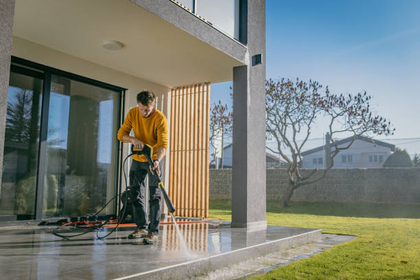 Best Spring Cleaning  in Wise, VA
